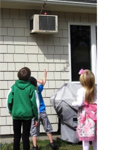 egg on air conditioner